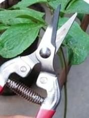 Ceta Form 190 mm Hasat Makası J23-190