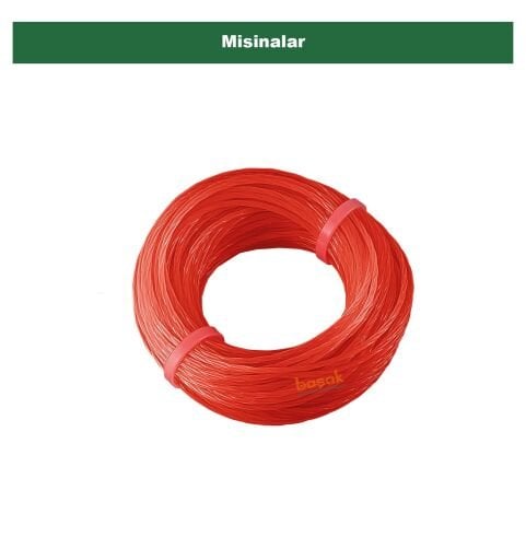 Misinalar