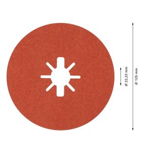 Bosch R782 Expert 125mm 60 kum Inox Disk Zımpara 25'li 2608621825