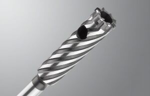 Bosch plus-9 Rebar Cutter 20 x 300 mm 2608586996