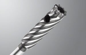 Bosch plus-9 Rebar Cutter 25 x 300 mm 2608586998