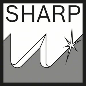 Bosch S 1531 L 190mm 2'li Hızlı Kesim Ahşap Panter Testere Ucu 2608650613