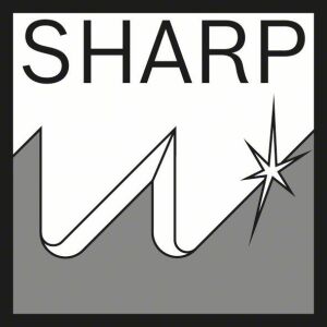 Bosch S 1531 L 240 mm 2'li Hızlı Kesim Ahşap Panter Testere Ucu 2608650613