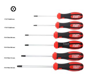 Ceta Form F99-606 6 Parça C-PLUS Tornavida Takımı - Delikli TORX