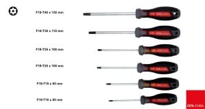 Ceta Form F99-606 6 Parça C-PLUS Tornavida Takımı - Delikli TORX