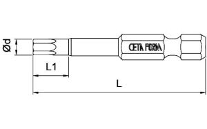 Ceta Form 8 x 50 mm Allen Uçlu Bits CB/1980