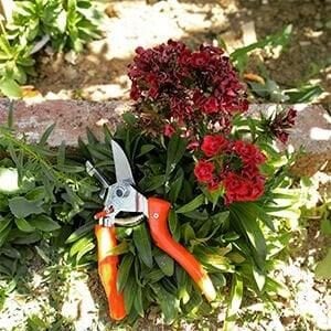 Ceta Form 200 mm Örs Tipi Bağ Makasi  J22A-200