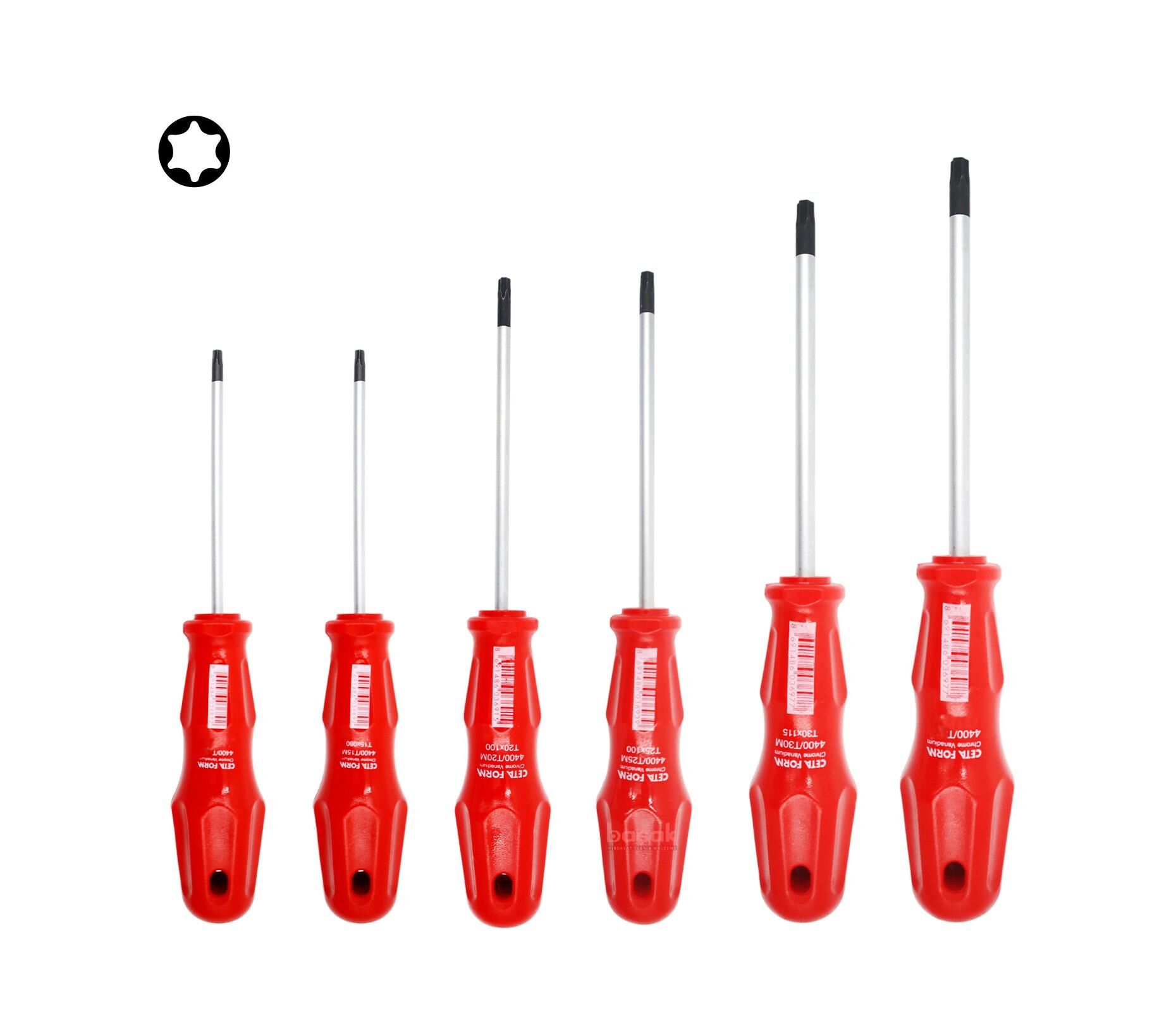 Ceta Form 4400M/6ST1 T10 - T40 Torx Tornavida Takımı 6 Parça
