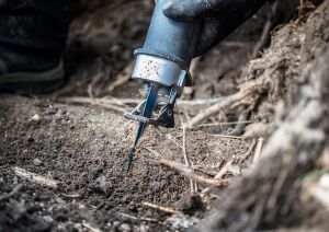 Bosch Expert S 1142 KHM Sert Ahşap İçin Panter Testere 1li 2608900403