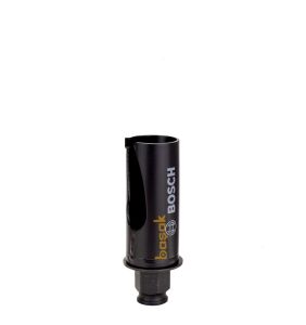 Bosch 30 mm Speed for Multiconstruction Panç 2608580732