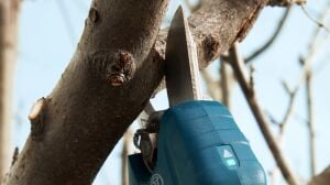Bosch Pro Pruner Akülü Bahçe-Dal Kesme Makası (Akü ve Şarj Yoktur) 06019K1020