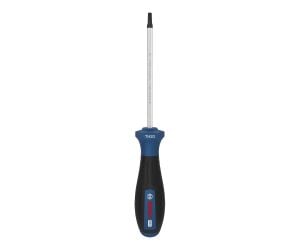 Bosch PRO TH20x100 mm Delikli Torx Tornavida 1600A039SL