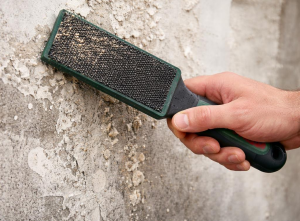 Bosch Eğe Fırçası Metal Eğe ve Ahşap Törpü Temizleme 1600A039HW