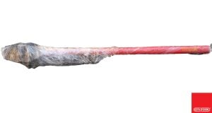 Ceta Form 6'' 1000 mm Zincirli Boru Anahtarı I11-60