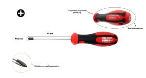 Ceta Form PH2 x 100 mm Yıldız Tornavida F14-002-100