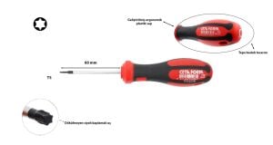 Ceta Form T5 x 60 mm Torx Tornavida F18-005-060