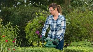 Bosch Easyhedgecut 45 Çit Kesme Makinesi 0600847A05