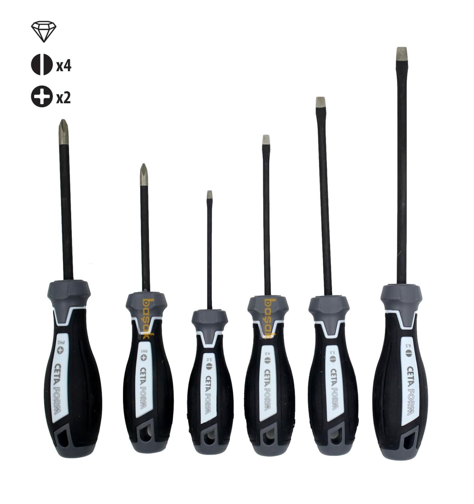 Ceta Form 6 Parça Elmas Kayma Önleyici Tornavida Takımı F99D-601