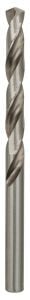 Bosch HSS-G 7,3x109 mm Metal Matkap Ucu 10'lu Paket 2608585502