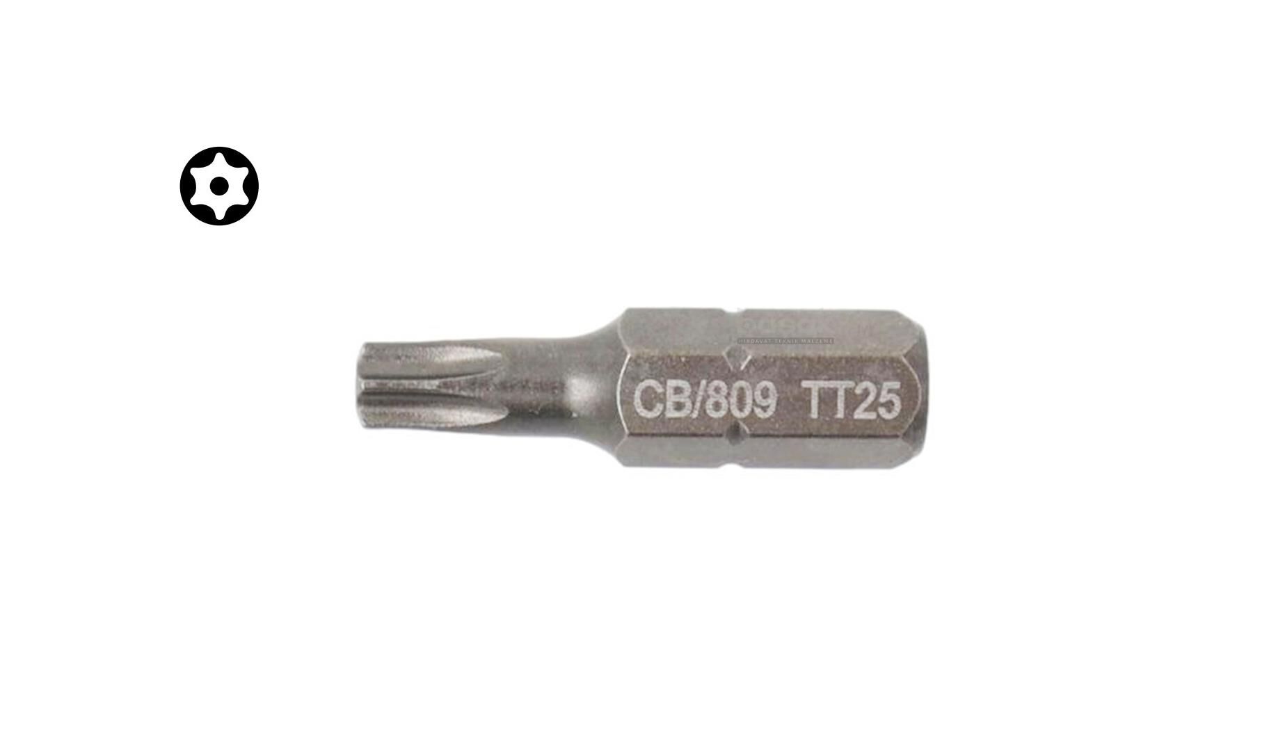 Ceta Form T25 x 25 mm Delikli Torx Bits Uç CB/809T