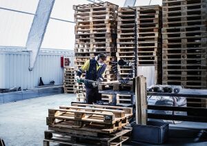 Bosch Expert S 1123 CHM Sert Çivili Palet Testere Bıçağı 1'li 2608902330