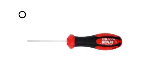 Ceta Form 2mm Allen Uçlu Tornavida F22-020-060
