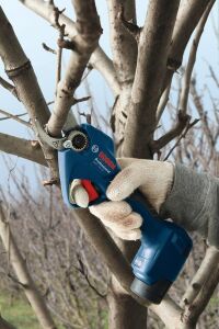 Bosch GGP 12V-25 Akülü Ağaç Budama Makası (Solo) 06008D8101