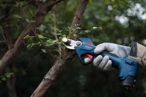 Bosch GGP 12V-25 Akülü Ağaç Budama Makası (Solo) 06008D8101