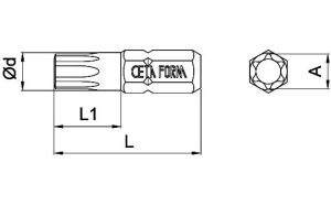 Ceta Form T8 x 25 mm Torx Bits Uç CB/804