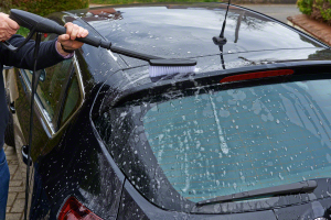 Bosch Yıkama fırçası F016800359