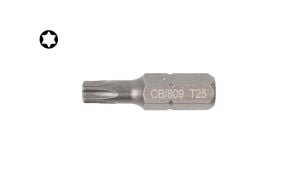 Ceta Form T25 x 25 mm Torx Bits Uç CB/809