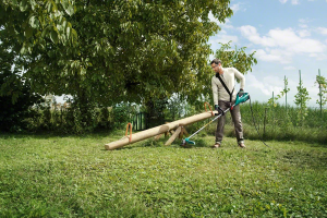 Bosch AFS 23-37 1000 W Misina+Tırpan Kenar Kesme Makinesi 06008A9000