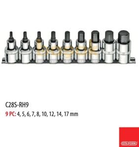 Ceta Form 4-17mm 1/2” Lokmalı Allen Takımı 9 Parça