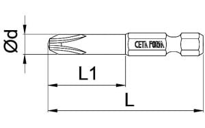 Ceta Form PH1 x 110 mm Ekstra Uzun Yıldız Bits Uç CB/1101