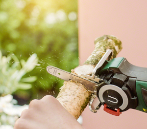 Bosch EasyCut 12 (Akü ve Şarj Yoktur) Akülü Testere 06033C9001