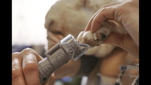 Dremel AT02-PGK Tırnak Bakım Koruyucu Başlık Seti 2615PG02JA