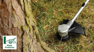 Bosch Advanced Brushcut 36V-23-750 Akülü Tırpan-Kenar Kesme 1x2Ah 06008C1K03