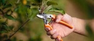 Ceta Form 190 mm Çok Amaçlı Makas (Düz) J17-190