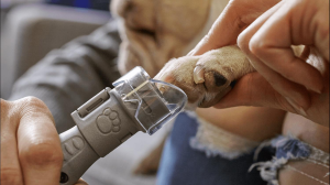 DREMEL 7020 Evcil Hayvan Tırnak Bakım Kiti