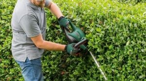 Bosch UniversalHedgeCut 50 Çit Kesme Makinesi 06008C0501