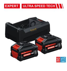 Bosch Expert Akü Seti 2 x EXBA18V 5.5 Ah Akü+GAL12V/18V Şarj Cihazı 1600A0373P