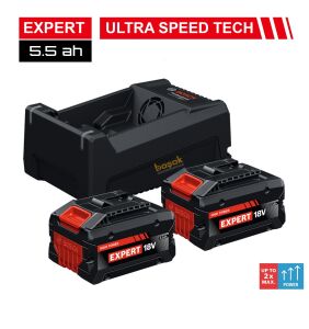 Bosch Expert Akü Seti 2 x EXBA18V 5.5 Ah Akü+GAL12V/18V Şarj Cihazı 1600A0373P