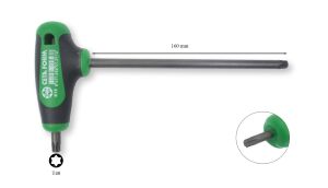 Ceta Form T 40 T Saplı TORX Allen K12-040-150