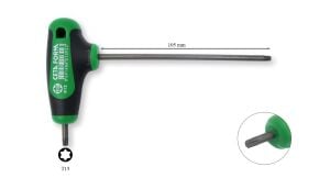 Ceta Form T 15 T Saplı TORX Allen K12-015-100